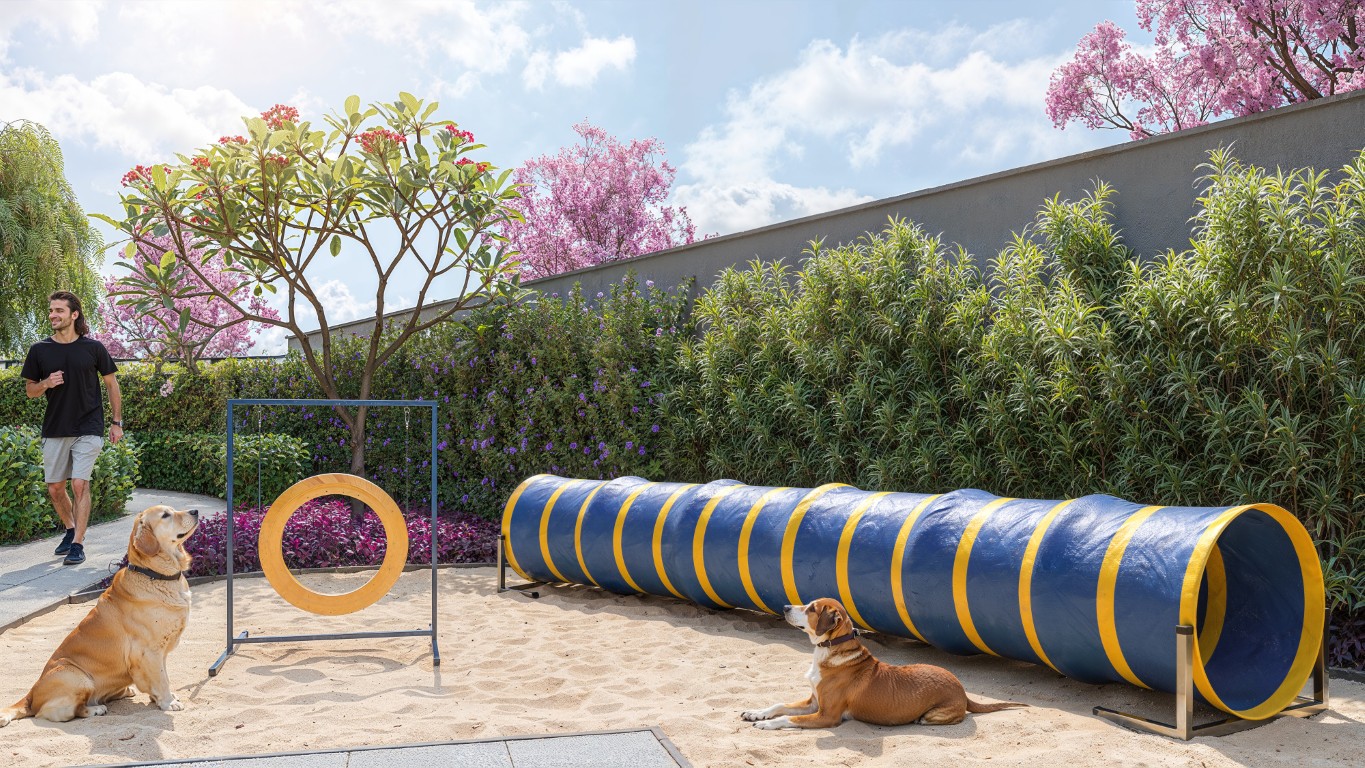 Pet Place