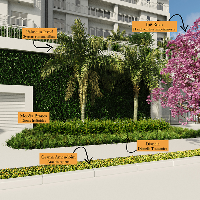 paisagismo_cena_cam01