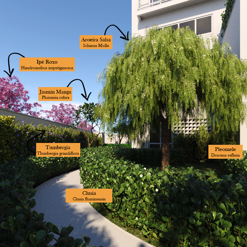 paisagismo_cena_cam02